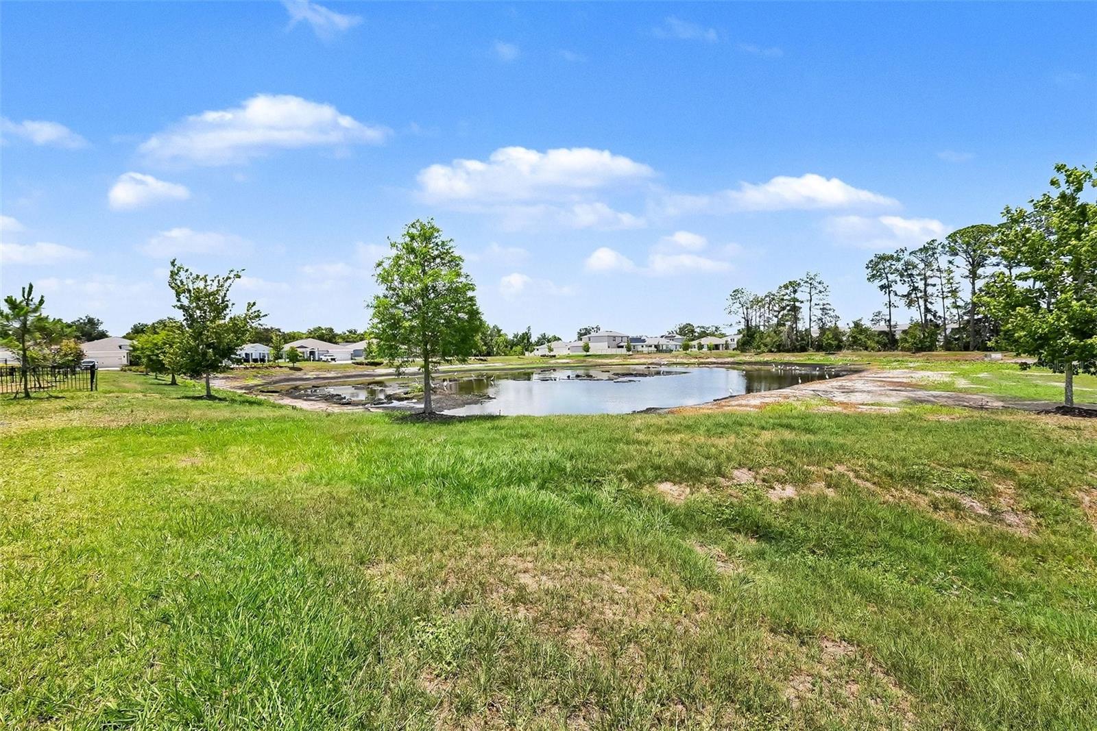 23231 Scaglione Dr Property Photo 35