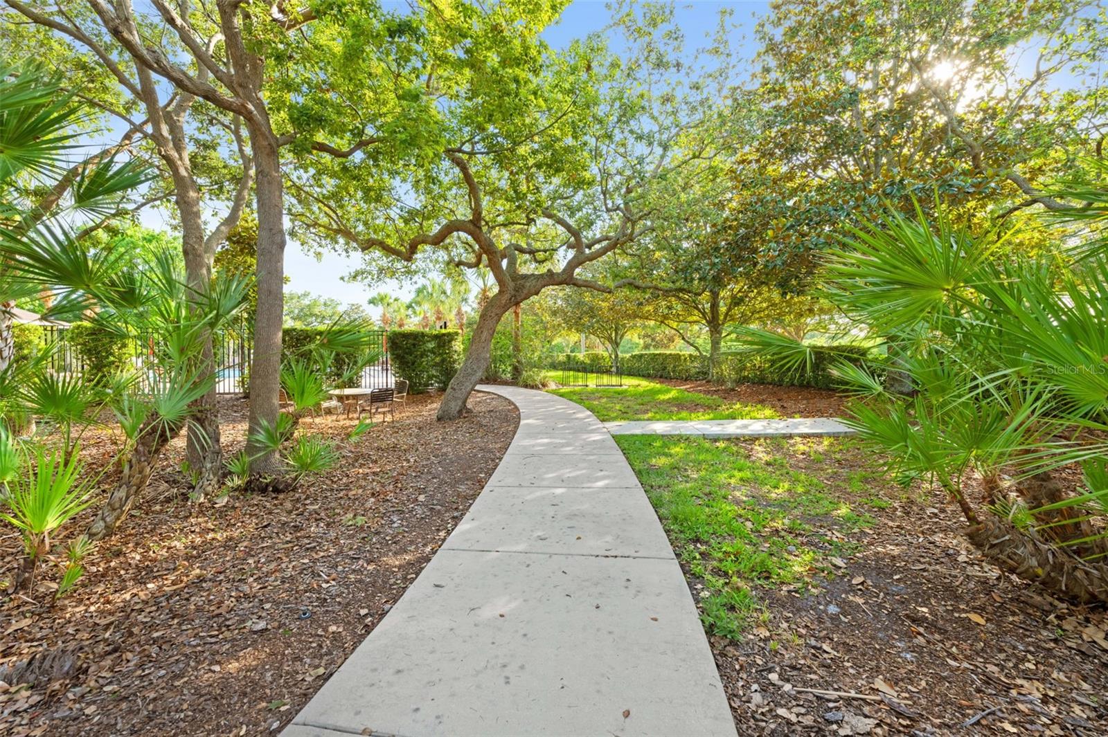 2201 Parrot Fish Dr Property Photo 51