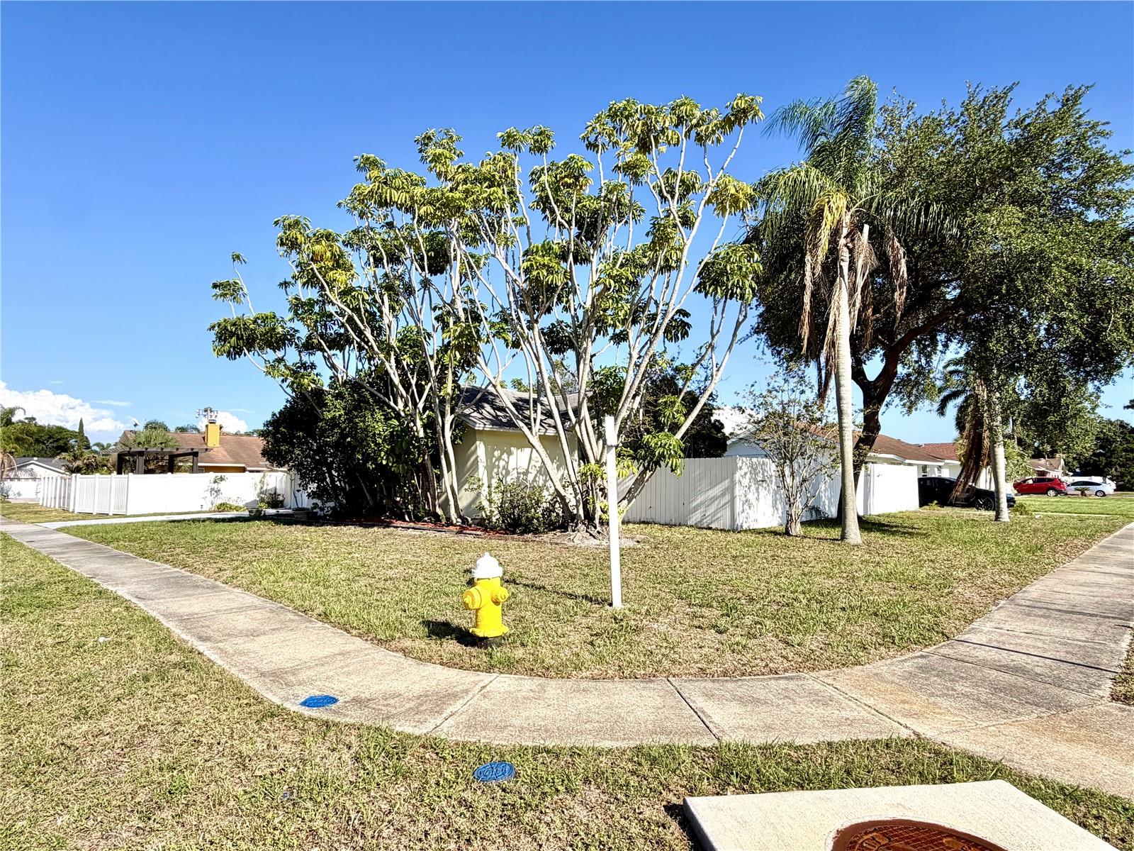 8212 101st Ct Property Photo 3