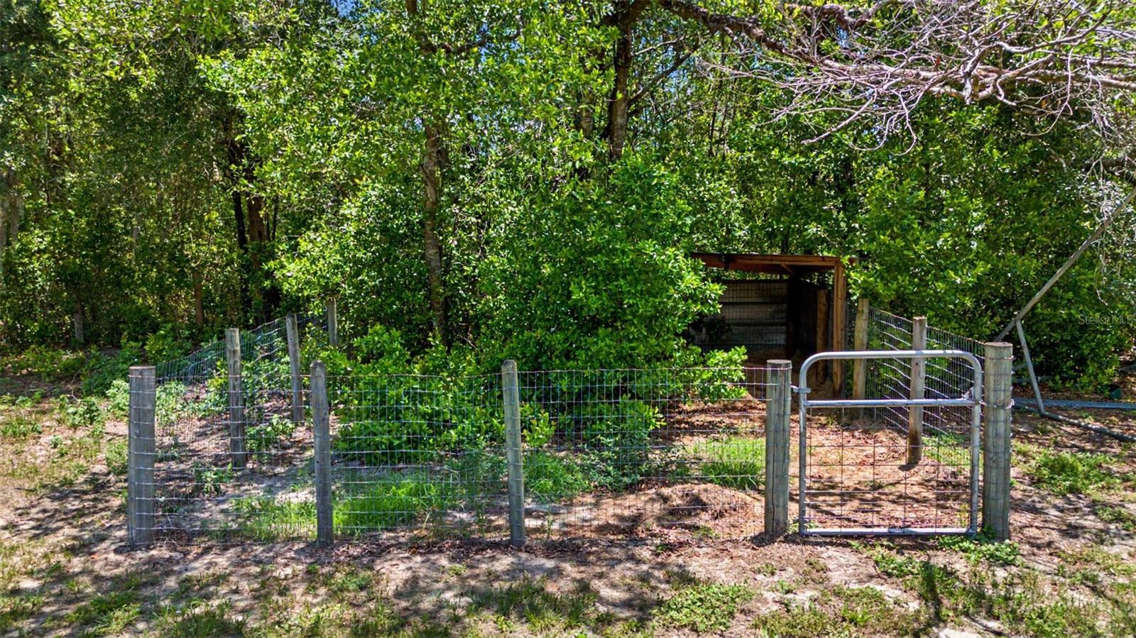 10933 Pinto Dr Property Photo 56