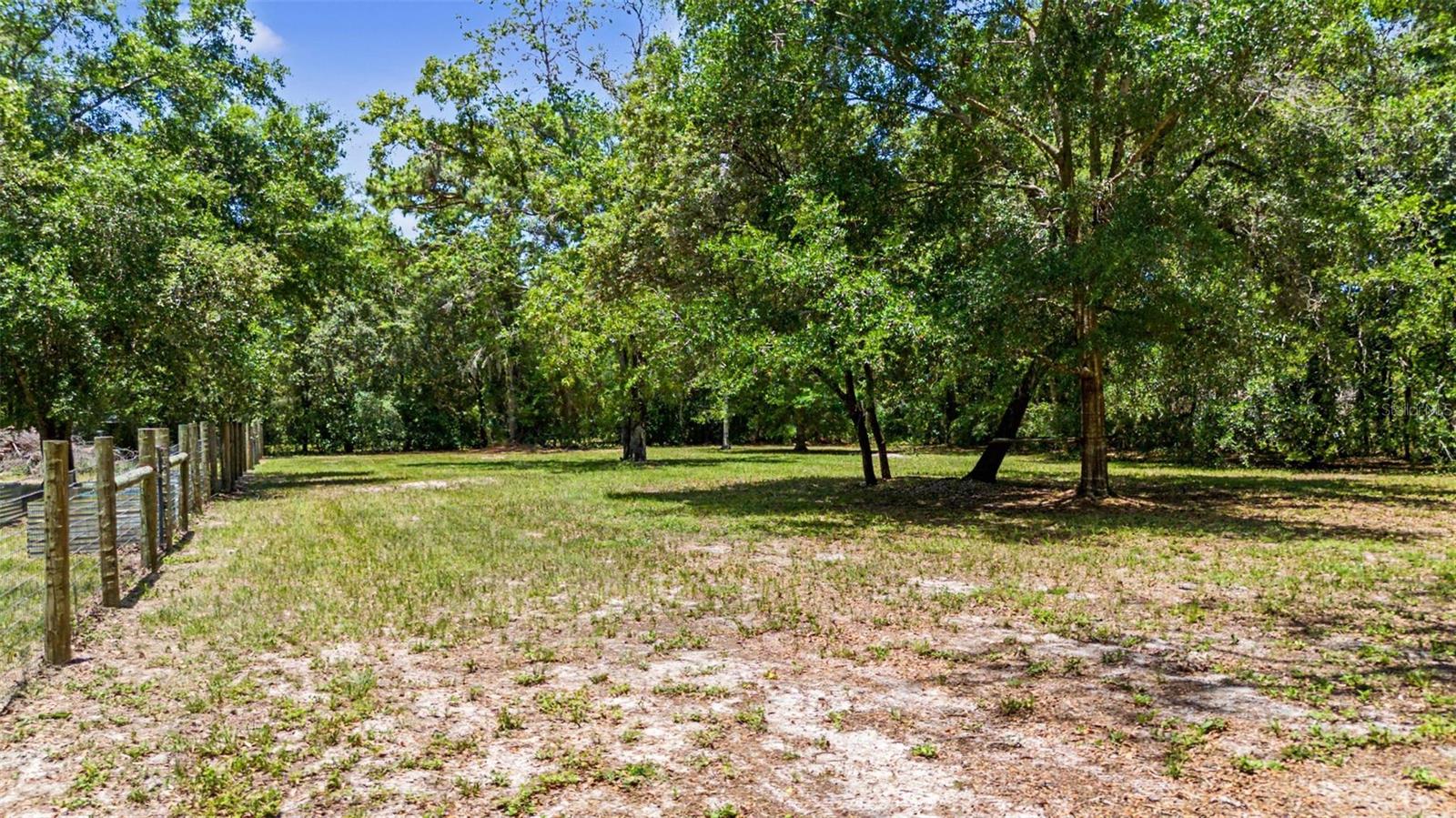 10933 Pinto Dr Property Photo 57