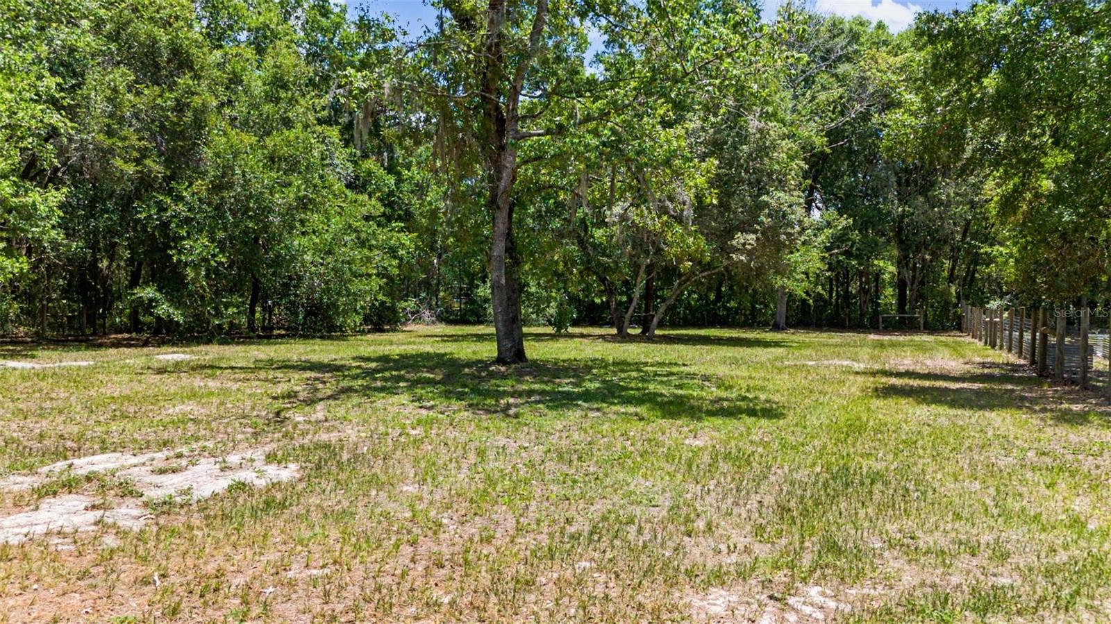 10933 Pinto Dr Property Photo 58