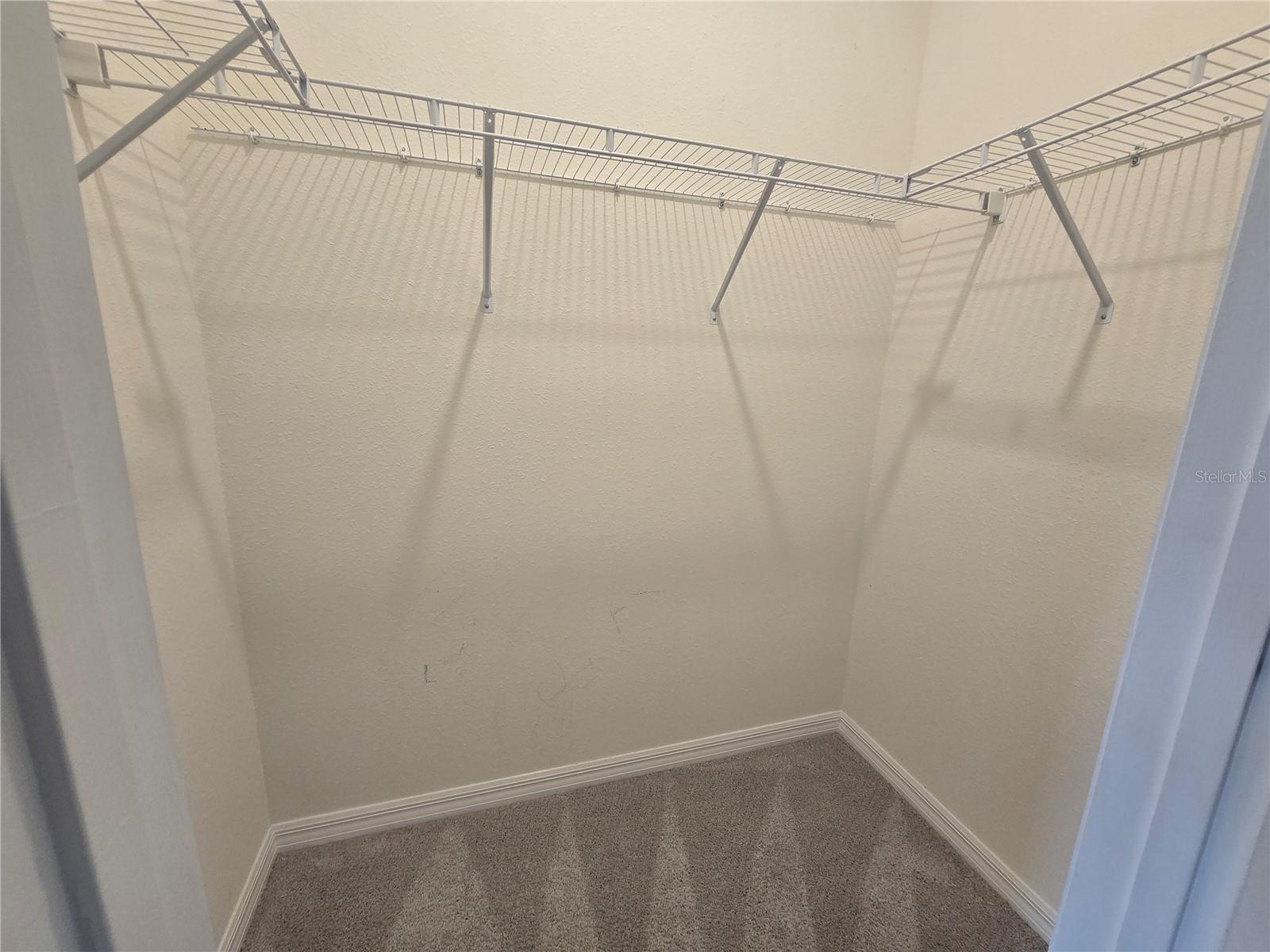 11370 Timber Grove Ln Property Photo 40