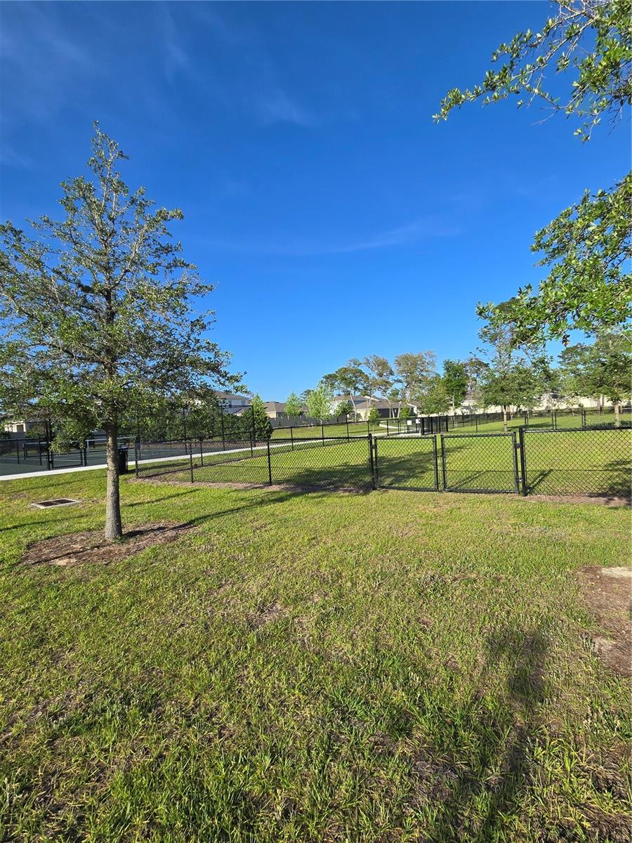 11370 Timber Grove Ln Property Photo 68