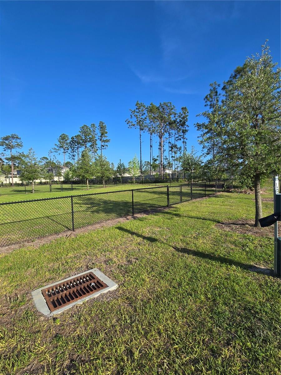 11370 Timber Grove Ln Property Photo 69
