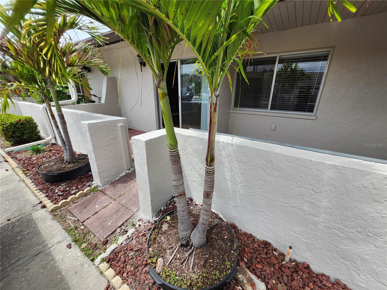 1513 16th Cir Se #43 Property Photo 1