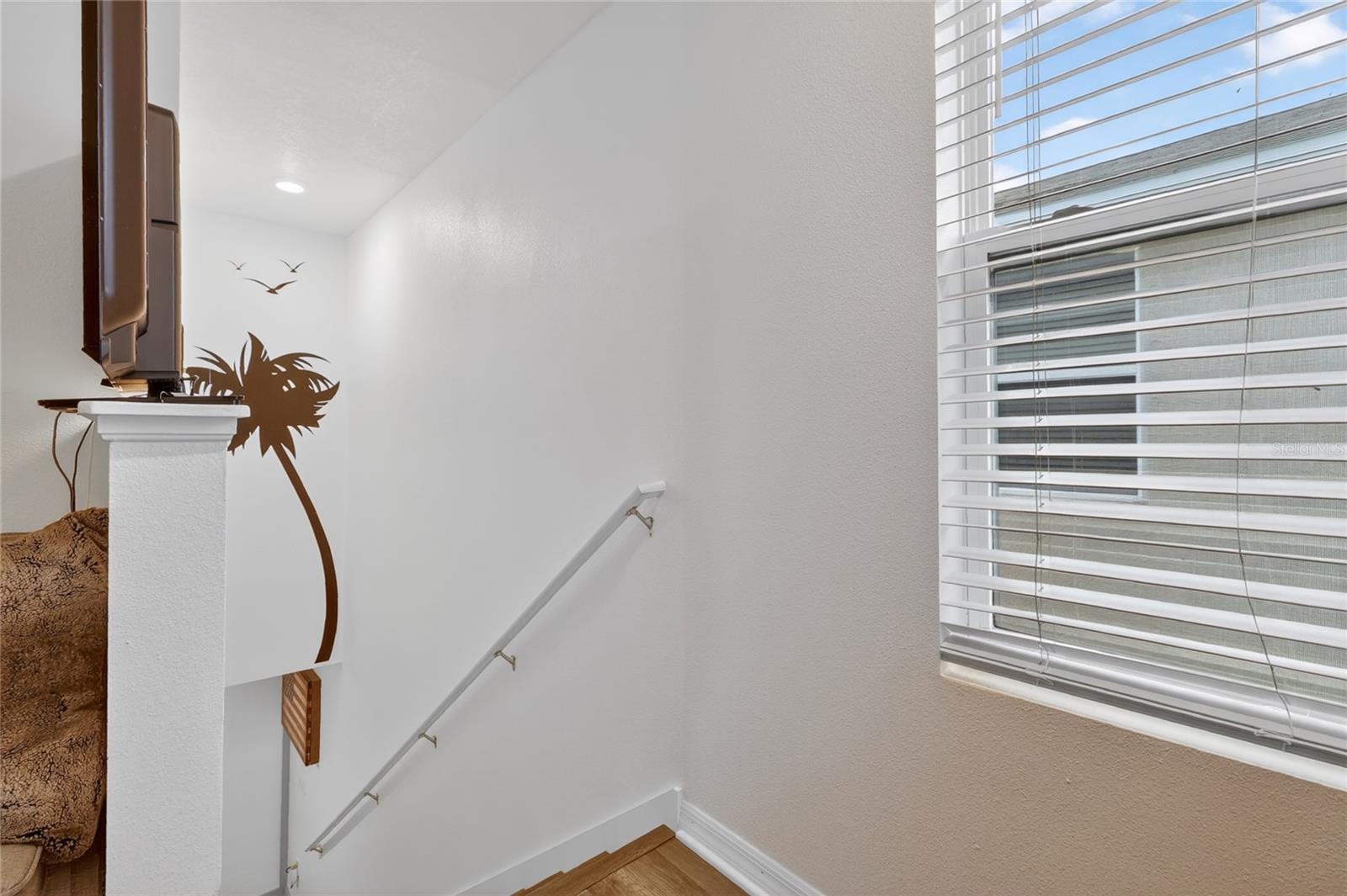 440 Olive Conch St Property Photo 30