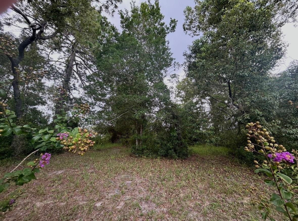 11189 Linden Dr Property Photo 20