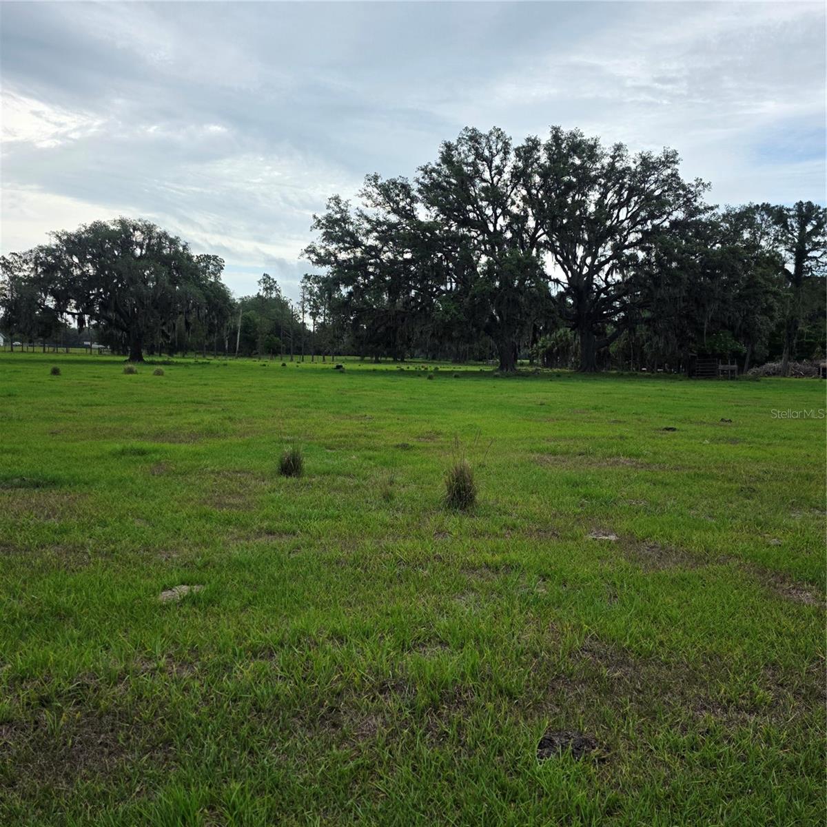 Vernon Dairy Property Photo 2