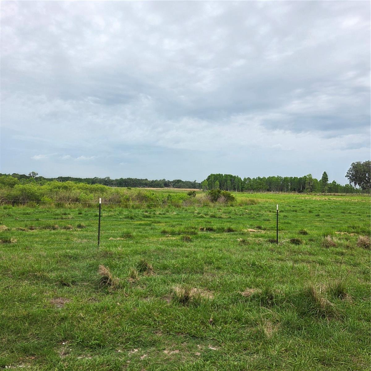 Vernon Dairy Property Photo 5