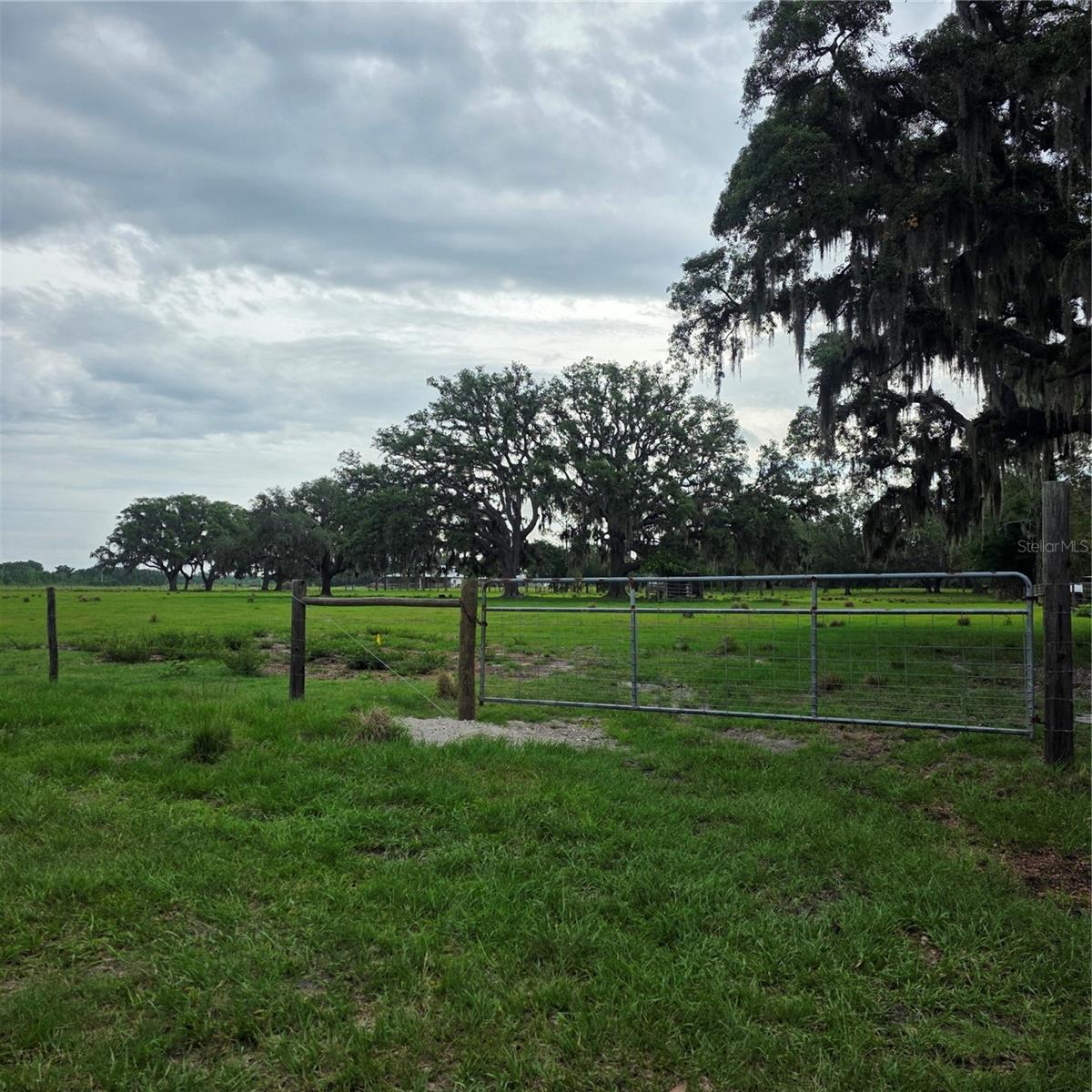 Vernon Dairy Property Photo 6