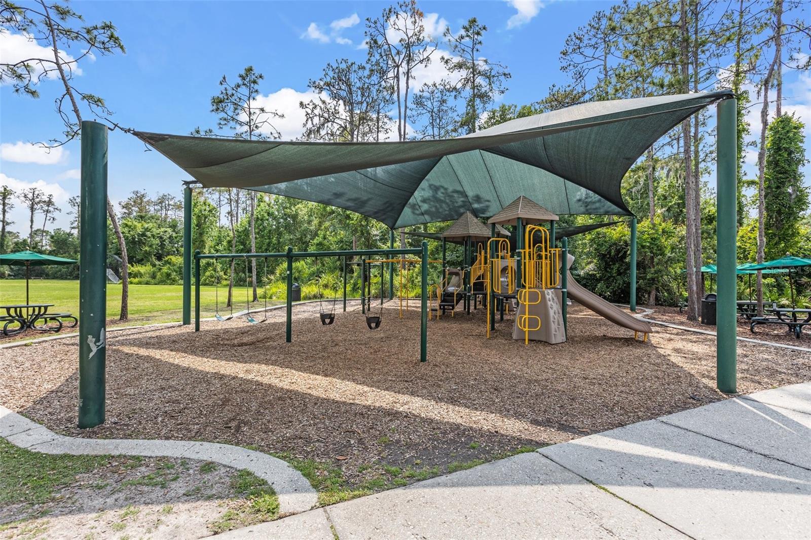 4424 Vermillion Sky Dr Property Photo 67