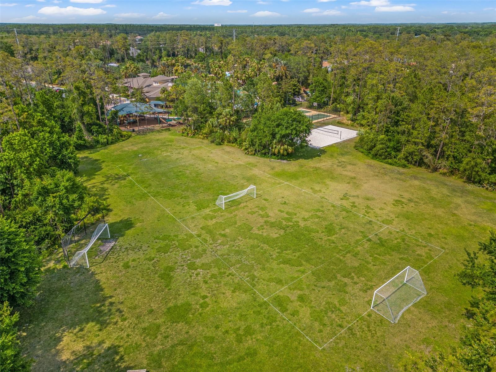 4424 Vermillion Sky Dr Property Photo 69