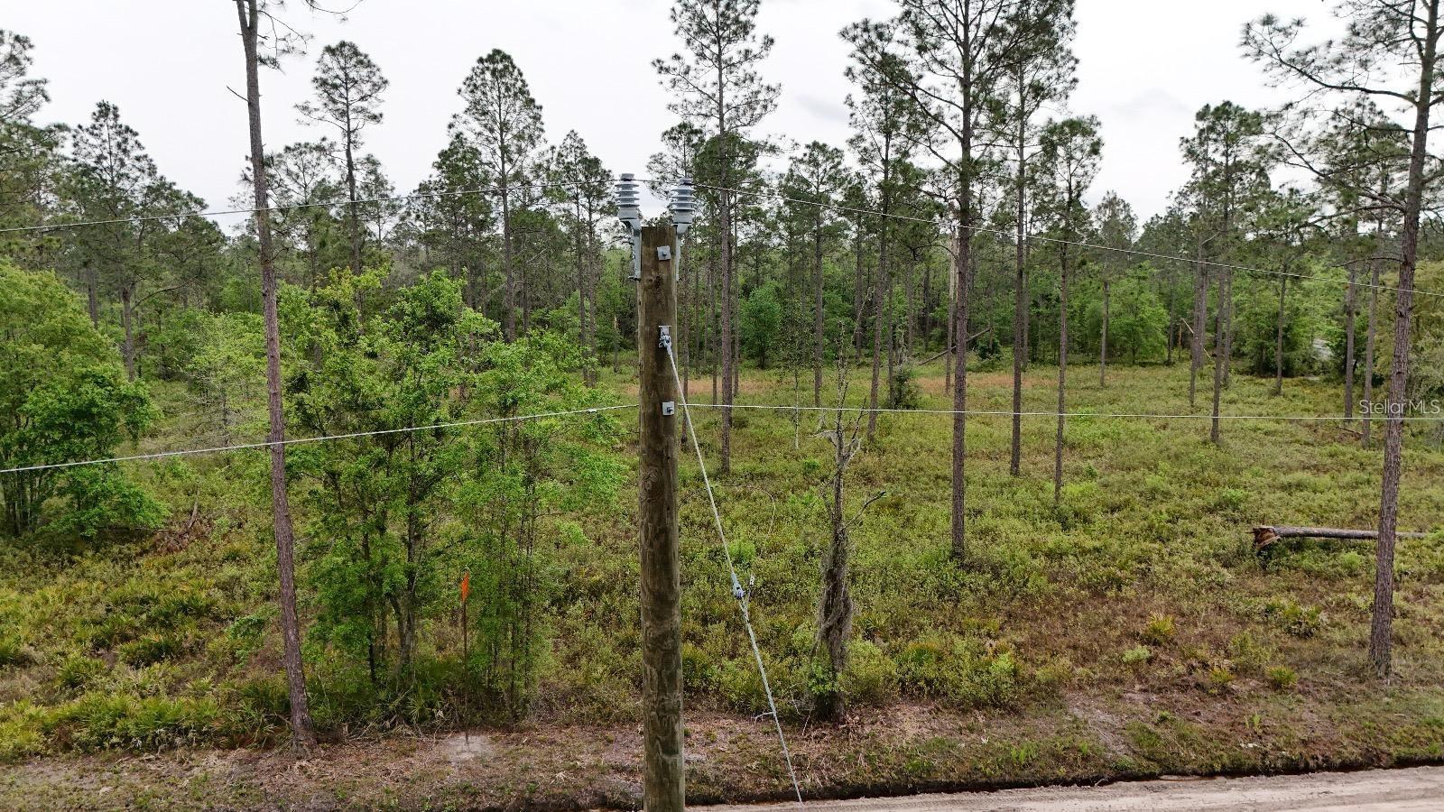 Se County Road 25a Property Photo 17