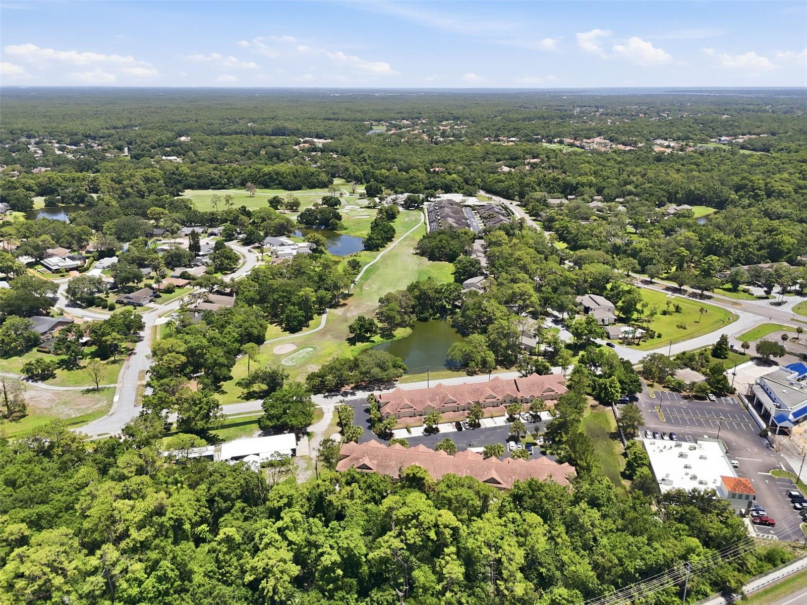2656 Tanglewood Trl Property Photo 47