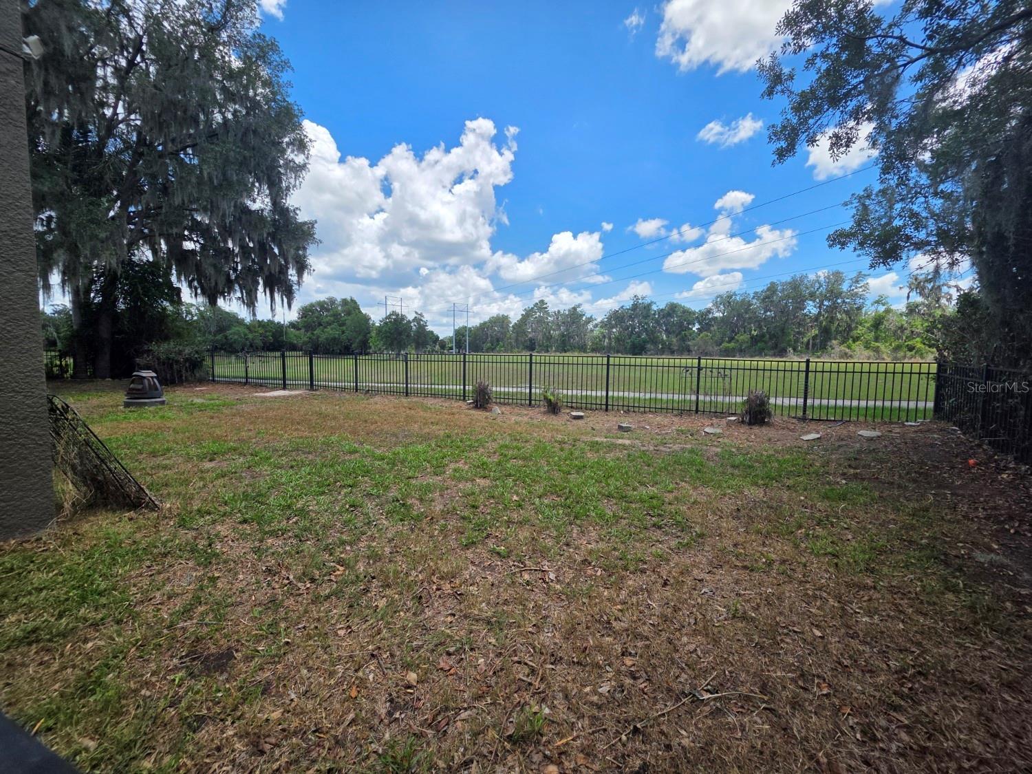 15723 Starling Water Dr Property Photo 28