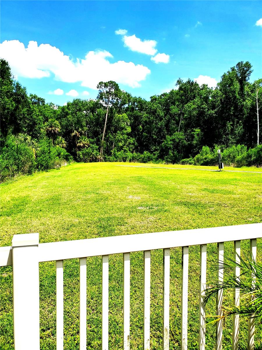 32871 Brooks Hawk Ln Property Photo 13