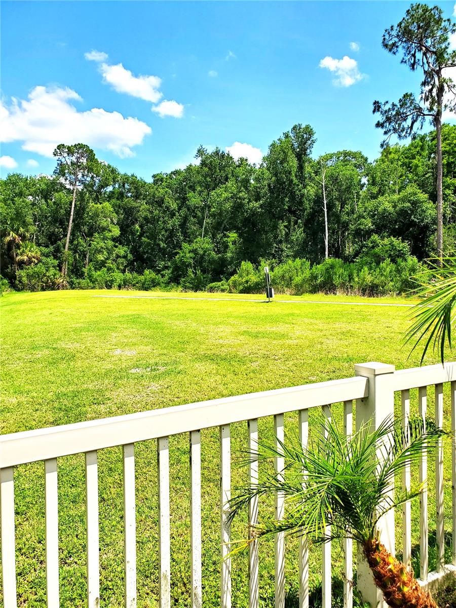 32871 Brooks Hawk Ln Property Photo 27