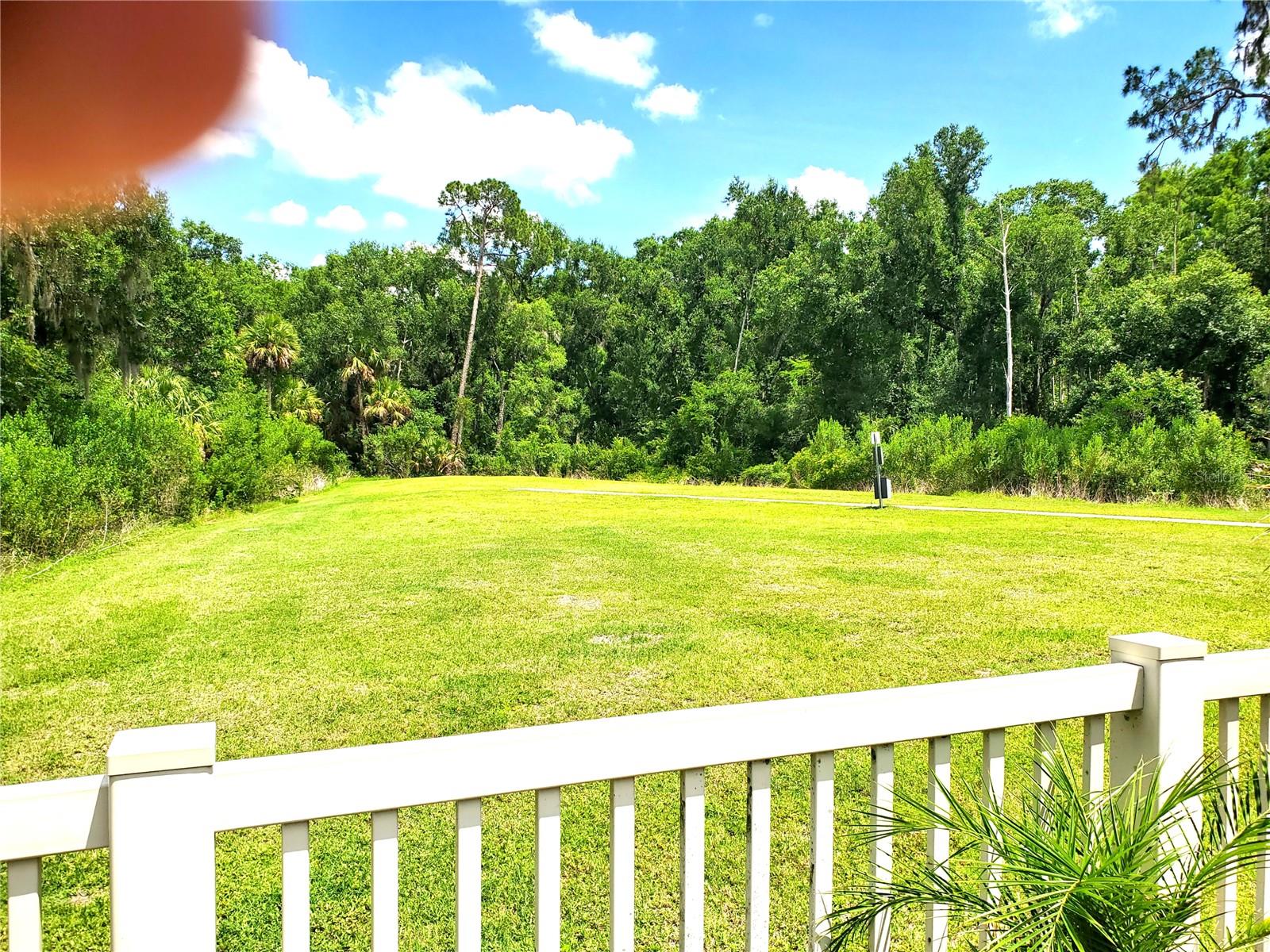32871 Brooks Hawk Ln Property Photo 28