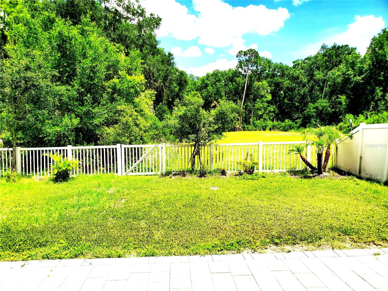 32871 Brooks Hawk Ln Property Photo 29