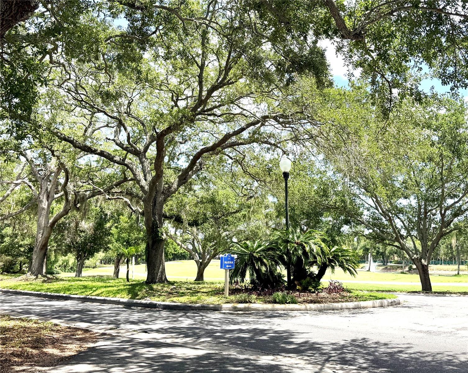 1000 Cove Cay Dr #4d Property Photo 47