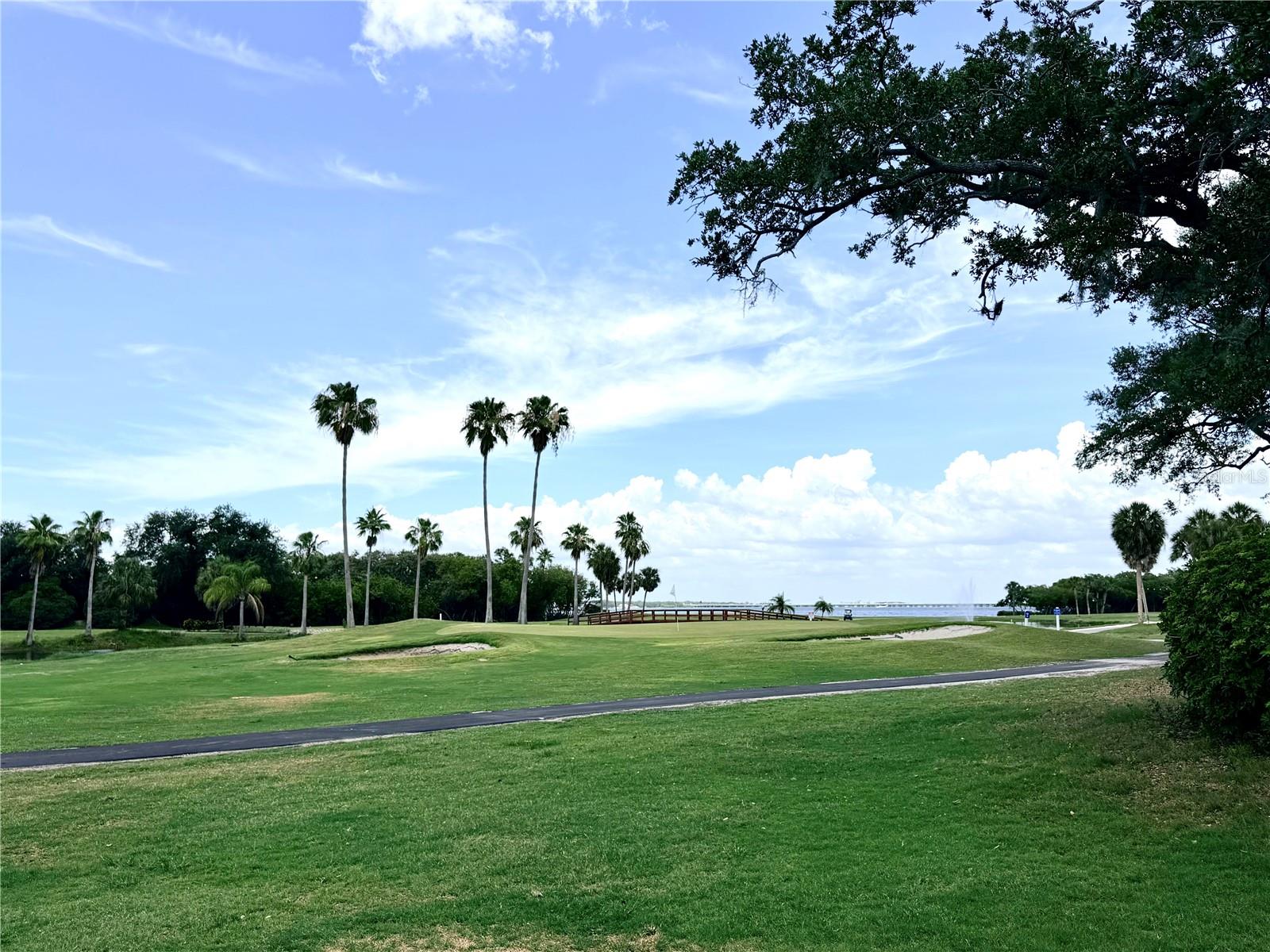 1000 Cove Cay Dr #4d Property Photo 48