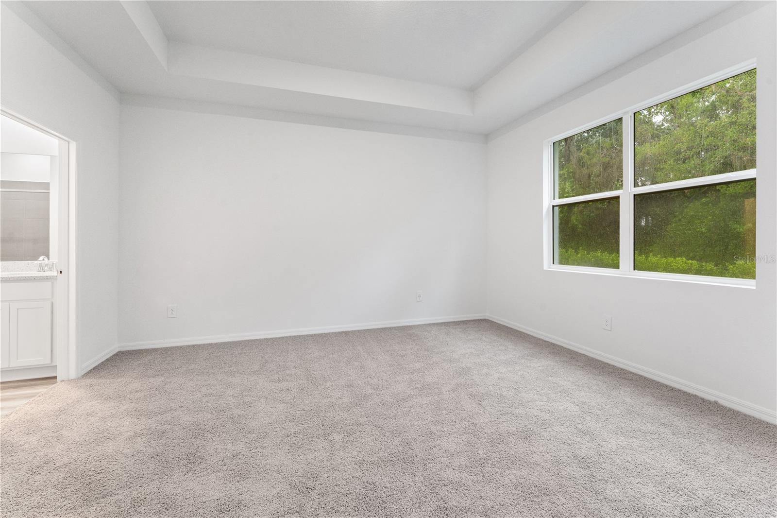 31351 Paper Birch St Property Photo 17