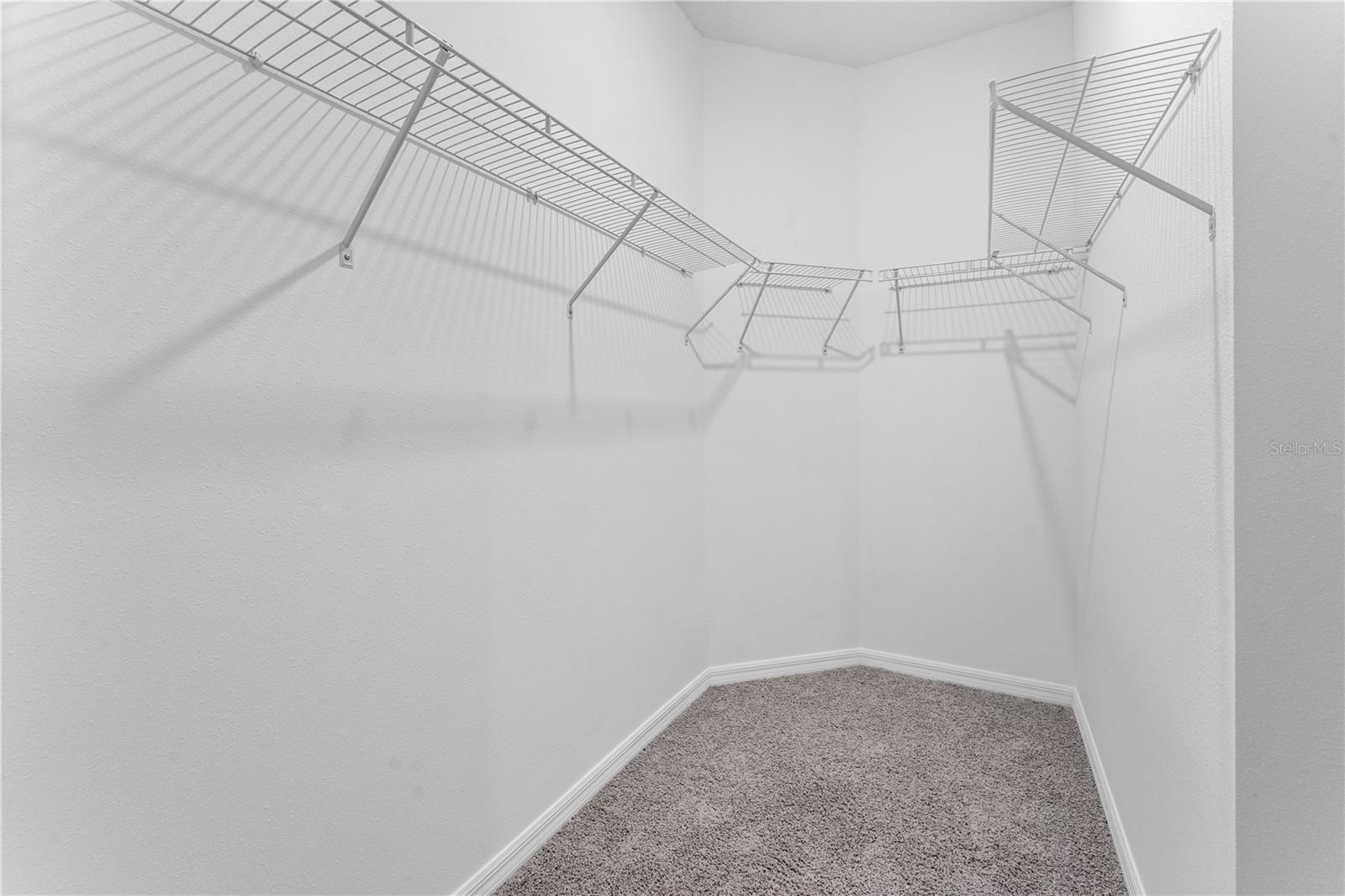 31351 Paper Birch St Property Photo 19