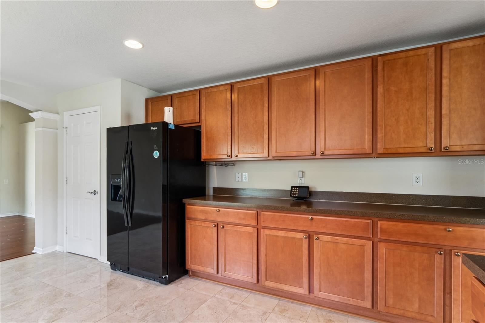 799 Alpine Thistle Dr Property Photo 18