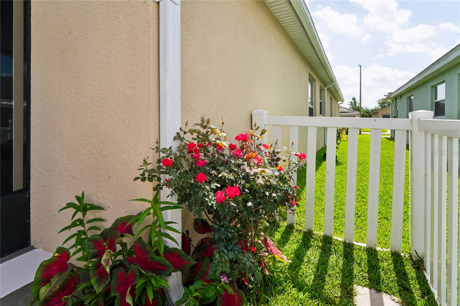 799 Alpine Thistle Dr Property Photo 65
