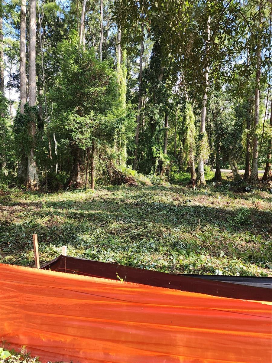 7709 Windward Way Property Photo 8