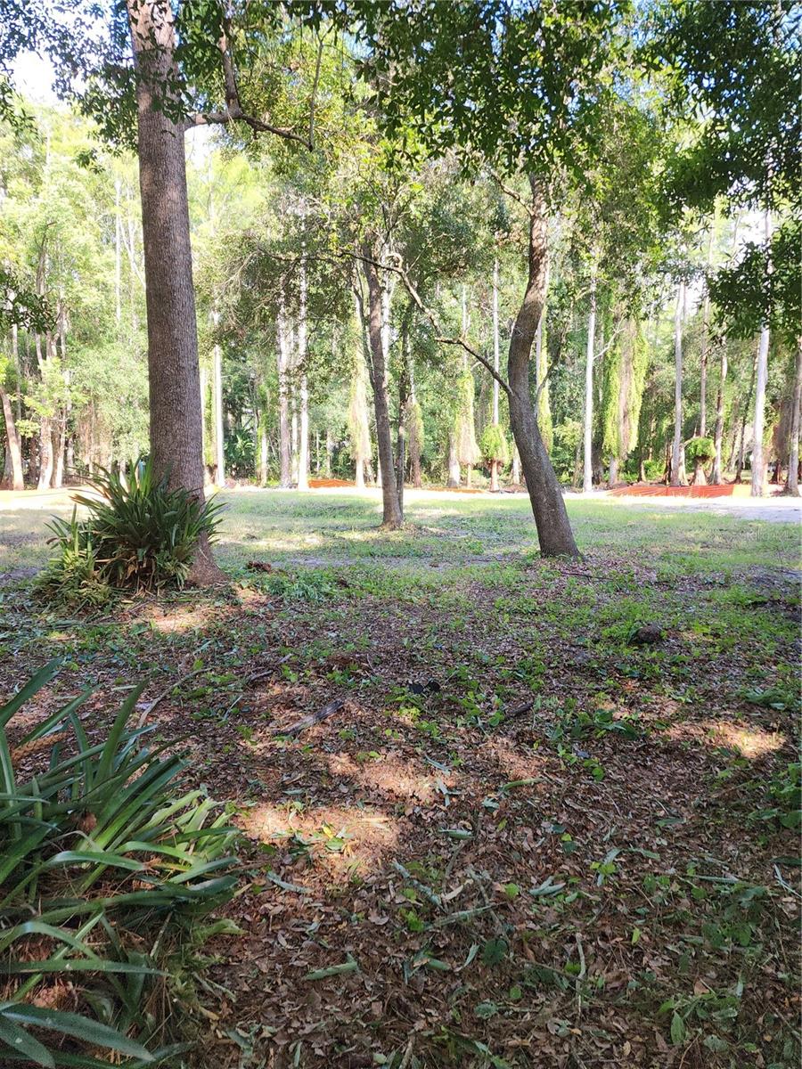 7709 Windward Way Property Photo 17