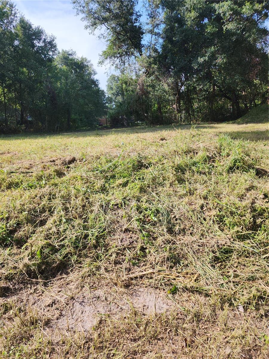7709 Windward Way Property Photo 46