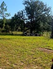 12070 Ne 63rd Pl Property Photo 46