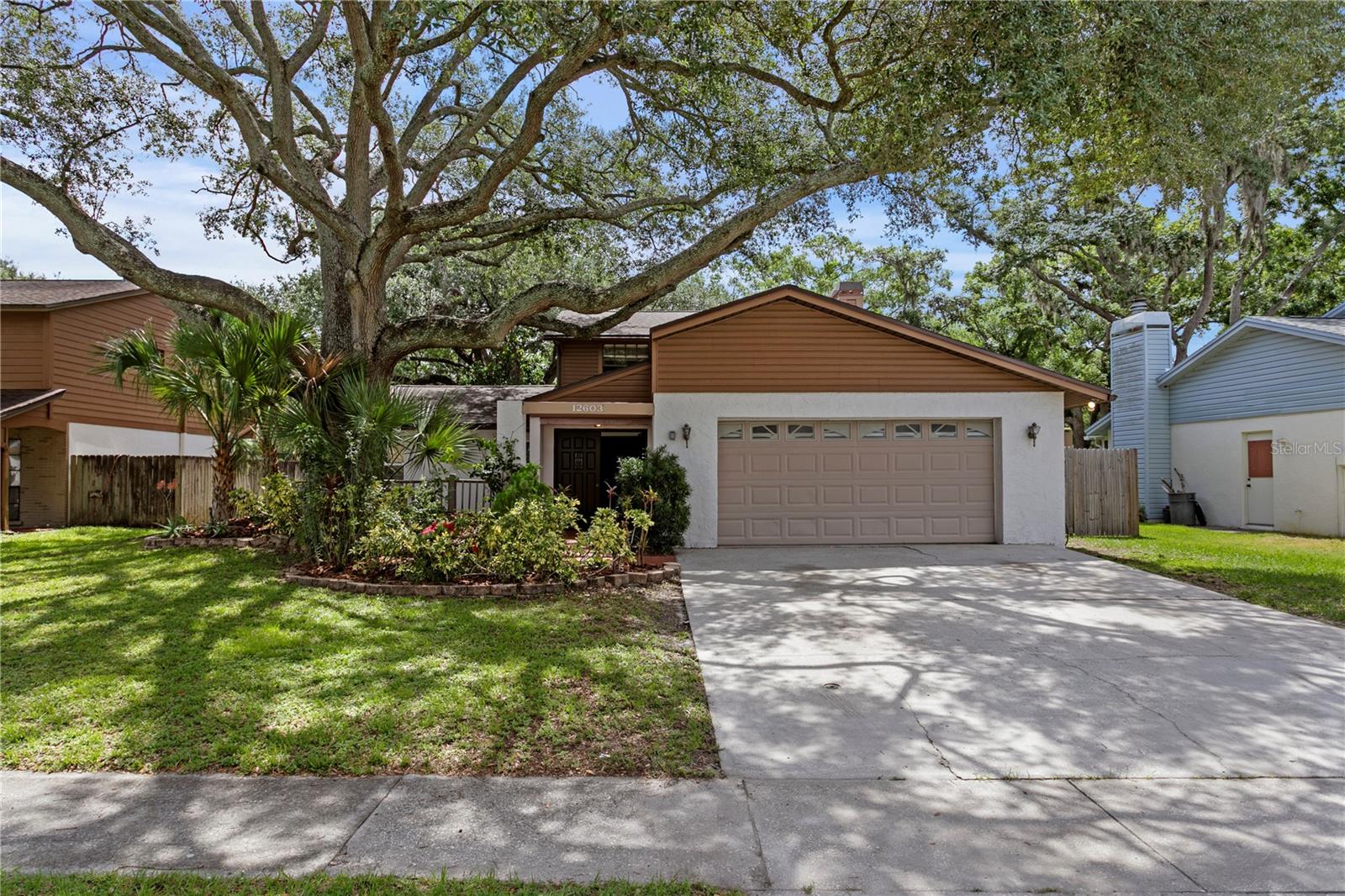 12603 Rain Forest St Property Photo