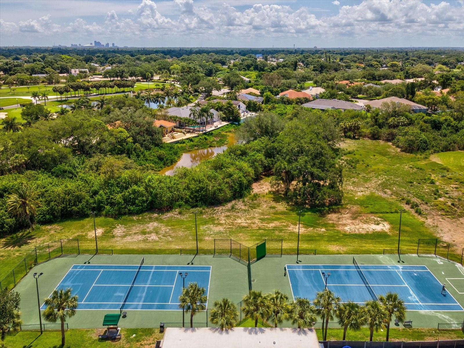6224 Pasadena Point Blvd Property Photo 88
