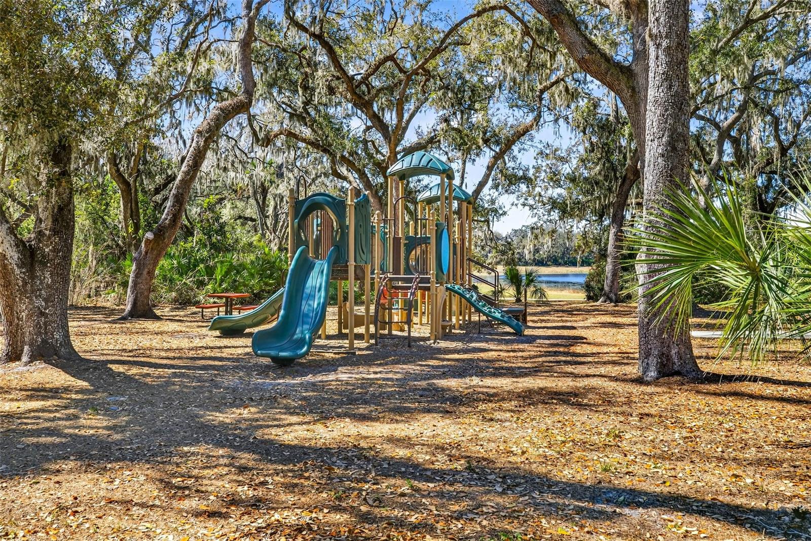 14310 Barrington Stowers Dr Property Photo 83