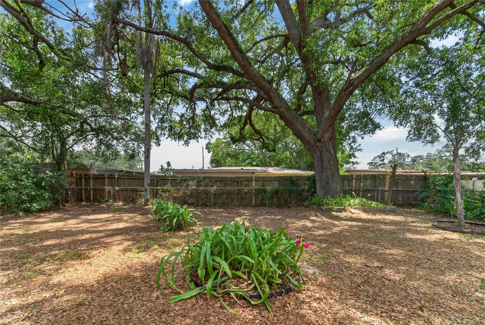 3009 E Fern St Property Photo 40