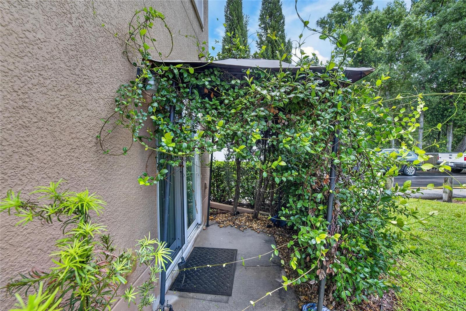 307 Summer Clouds Pl Property Photo 23