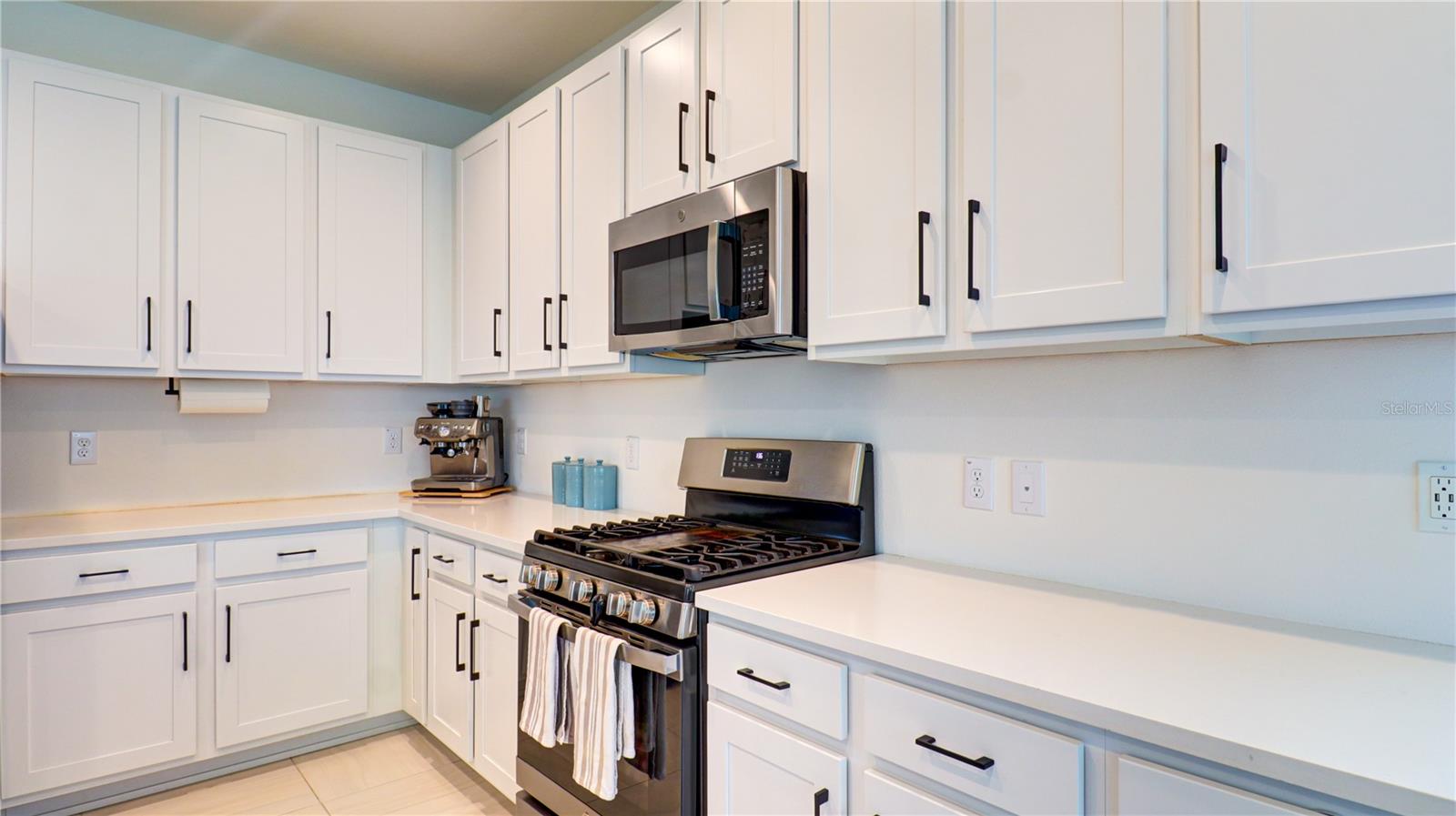 3338 Great Banyan Way Property Photo 19