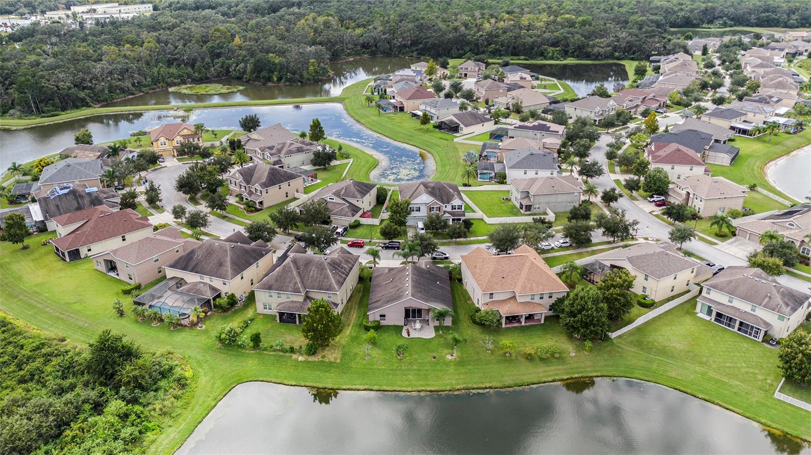 20017 Painting Nature Ln Property Photo 30