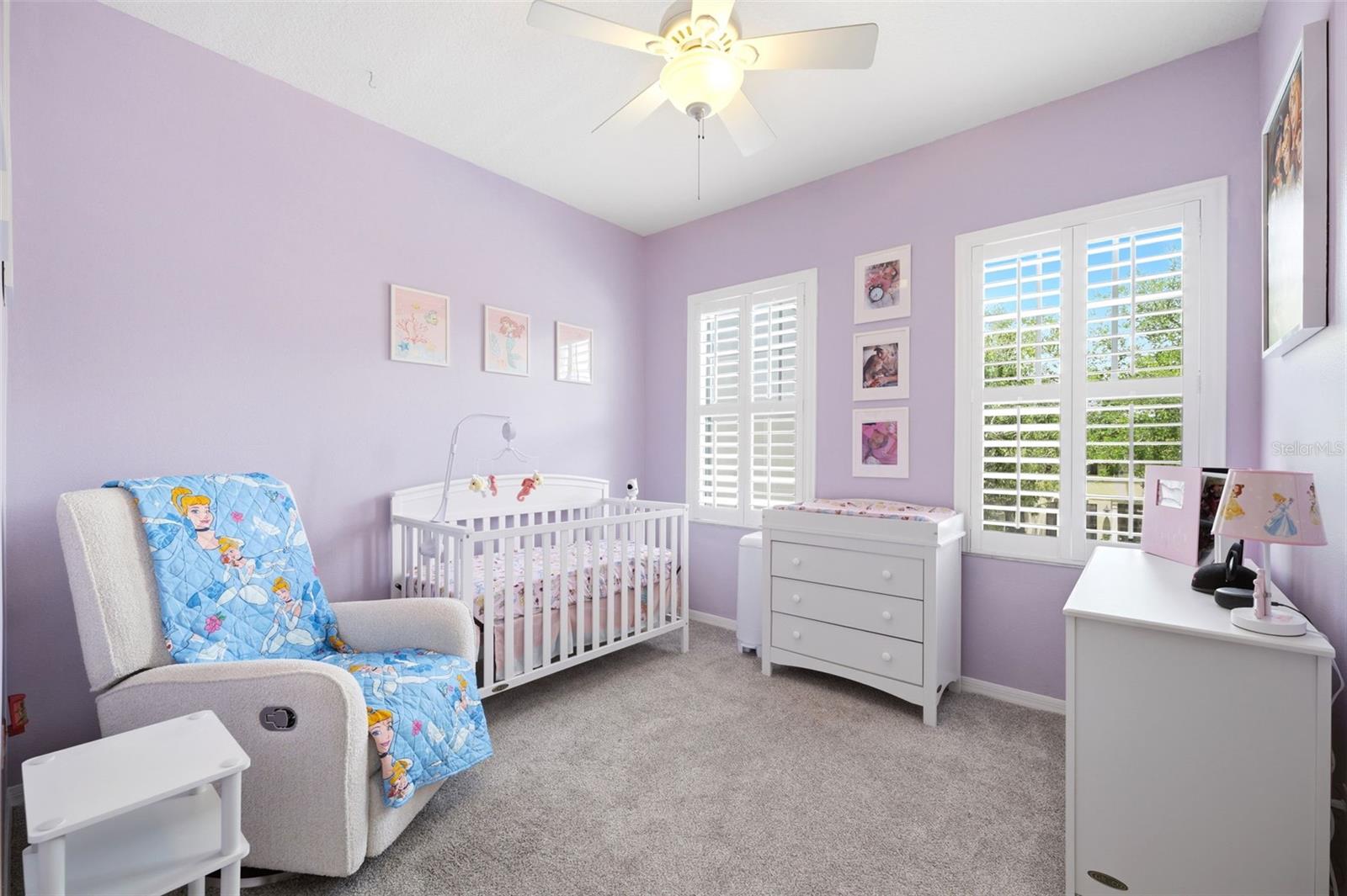 10016 Bentley Way Property Photo 28