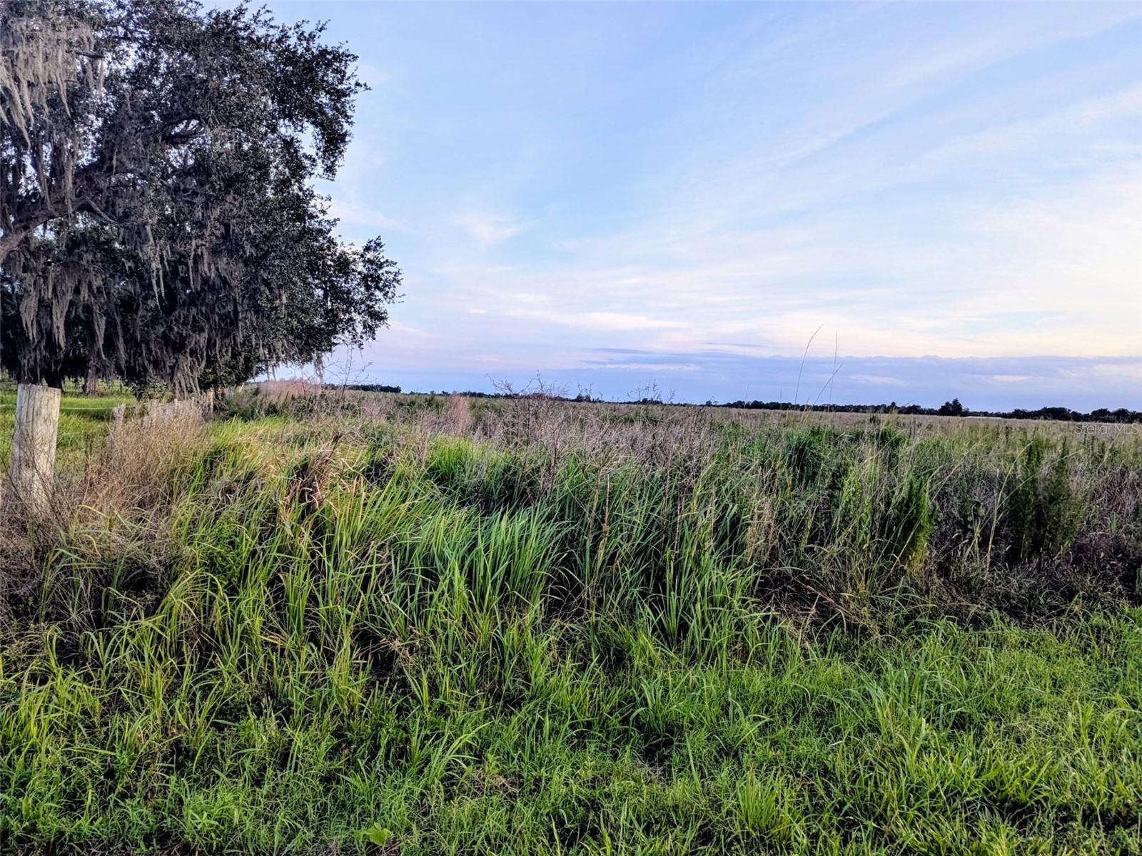 Tom Bryan Rd Property Photo 1