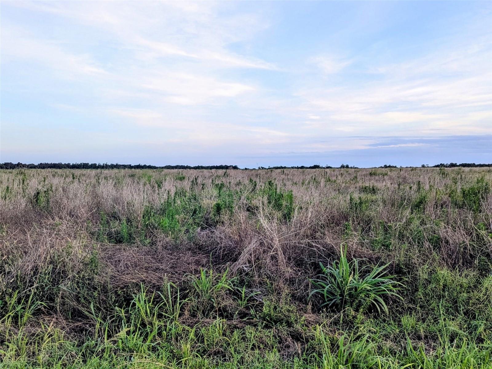 Tom Bryan Rd Property Photo 6