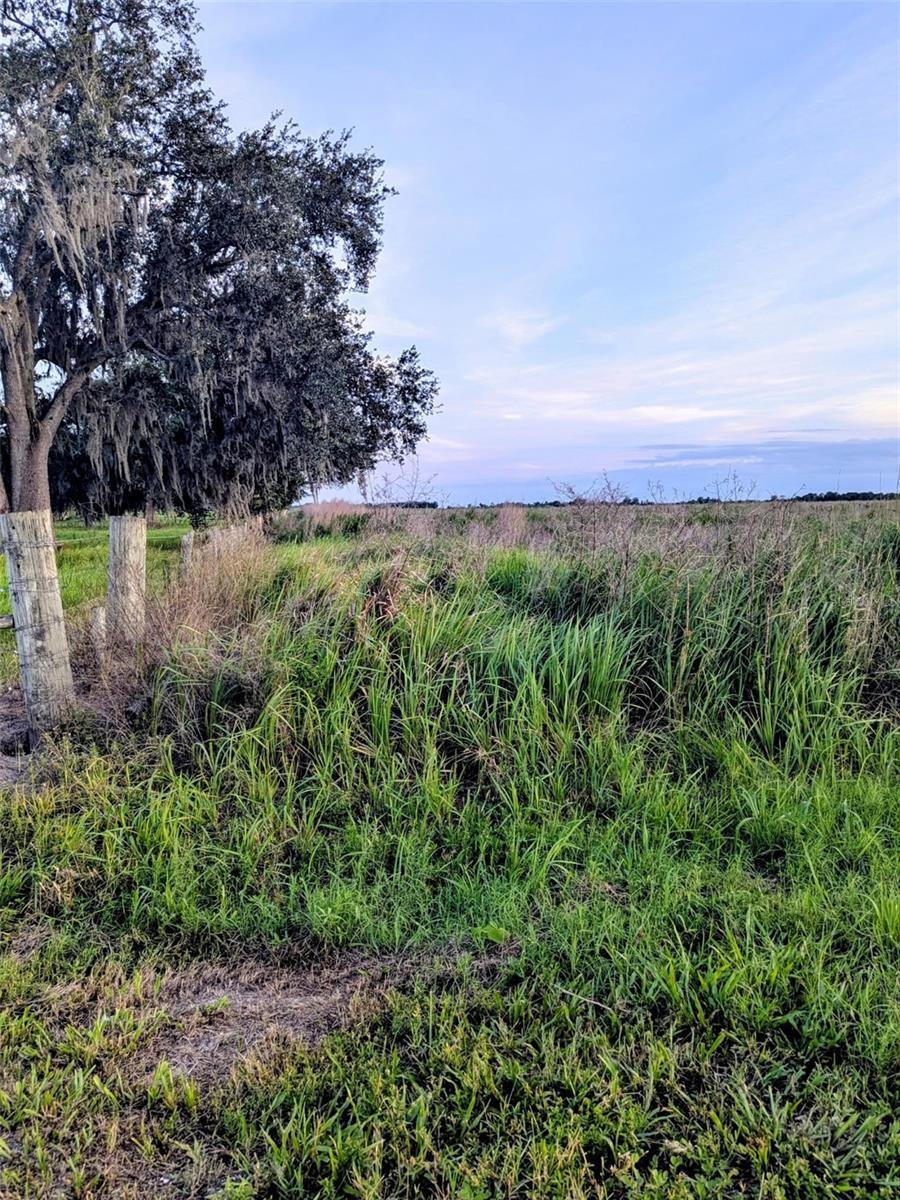 Tom Bryan Rd Property Photo 7