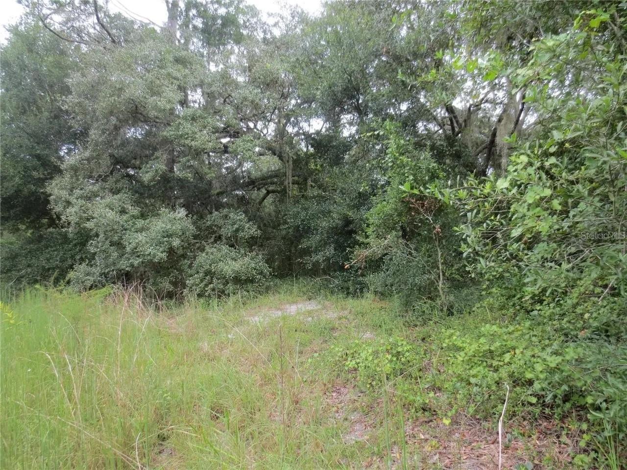 16865 Se 3rd Pl Property Photo 24