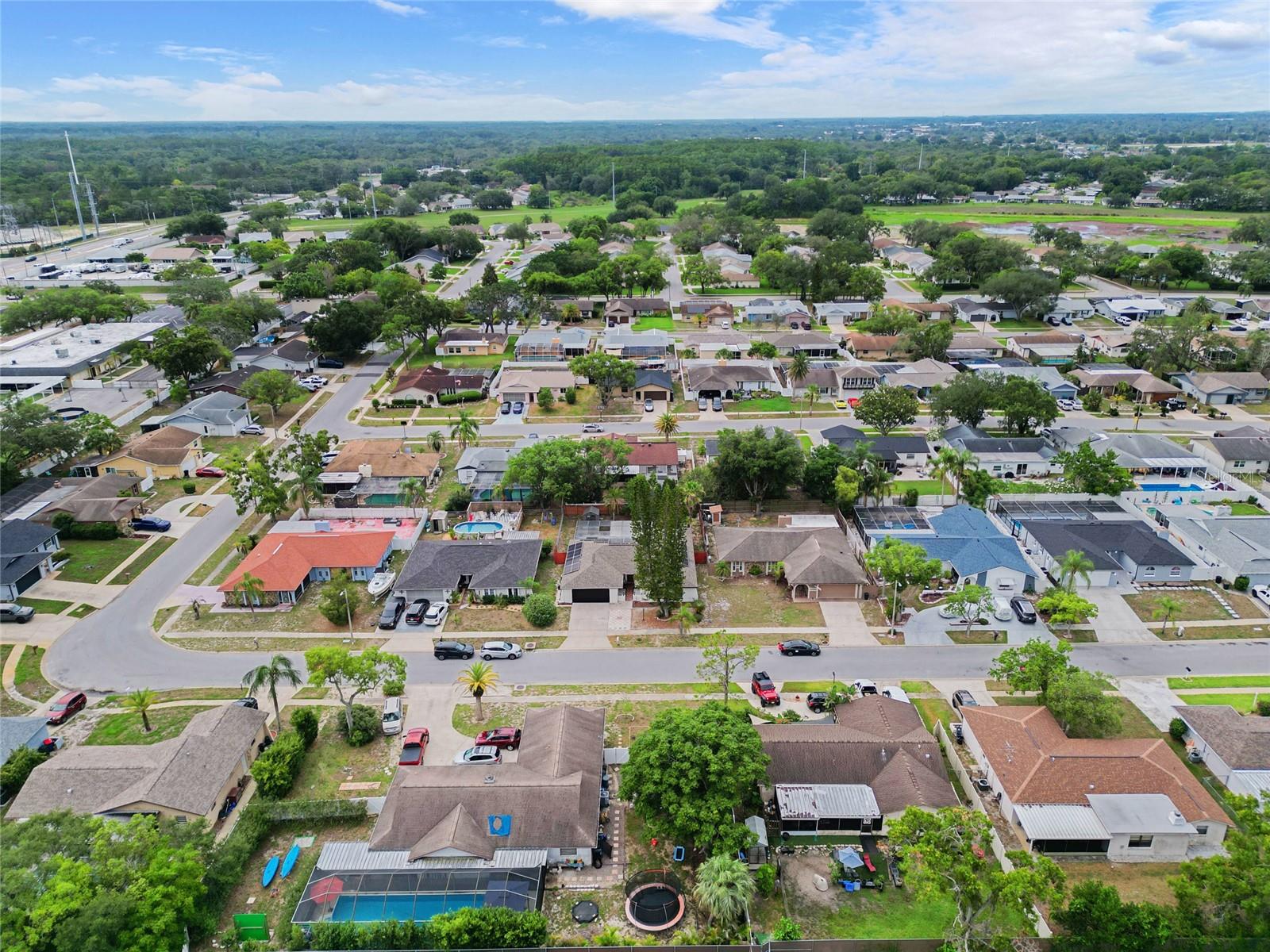 10951 Peppertree Ln Property Photo 8