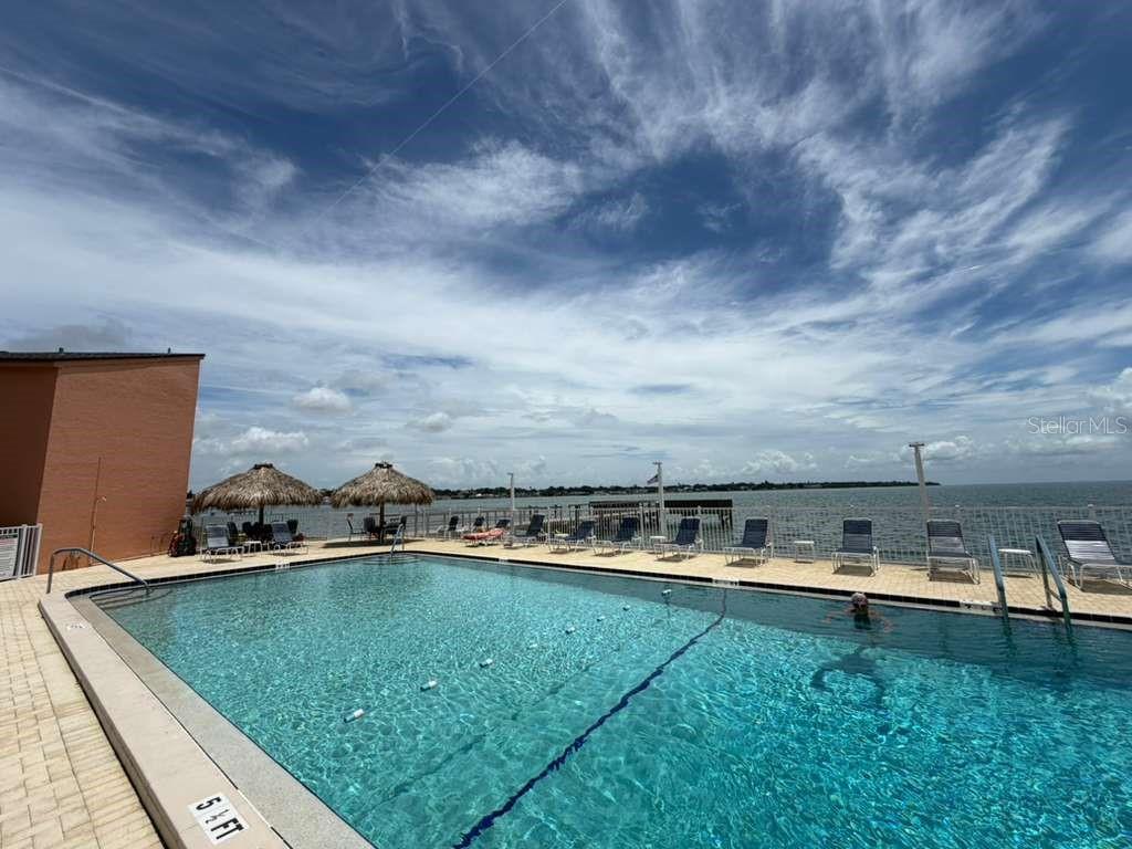 7432 Sunshine Skyway Ln S #206 Property Photo 1