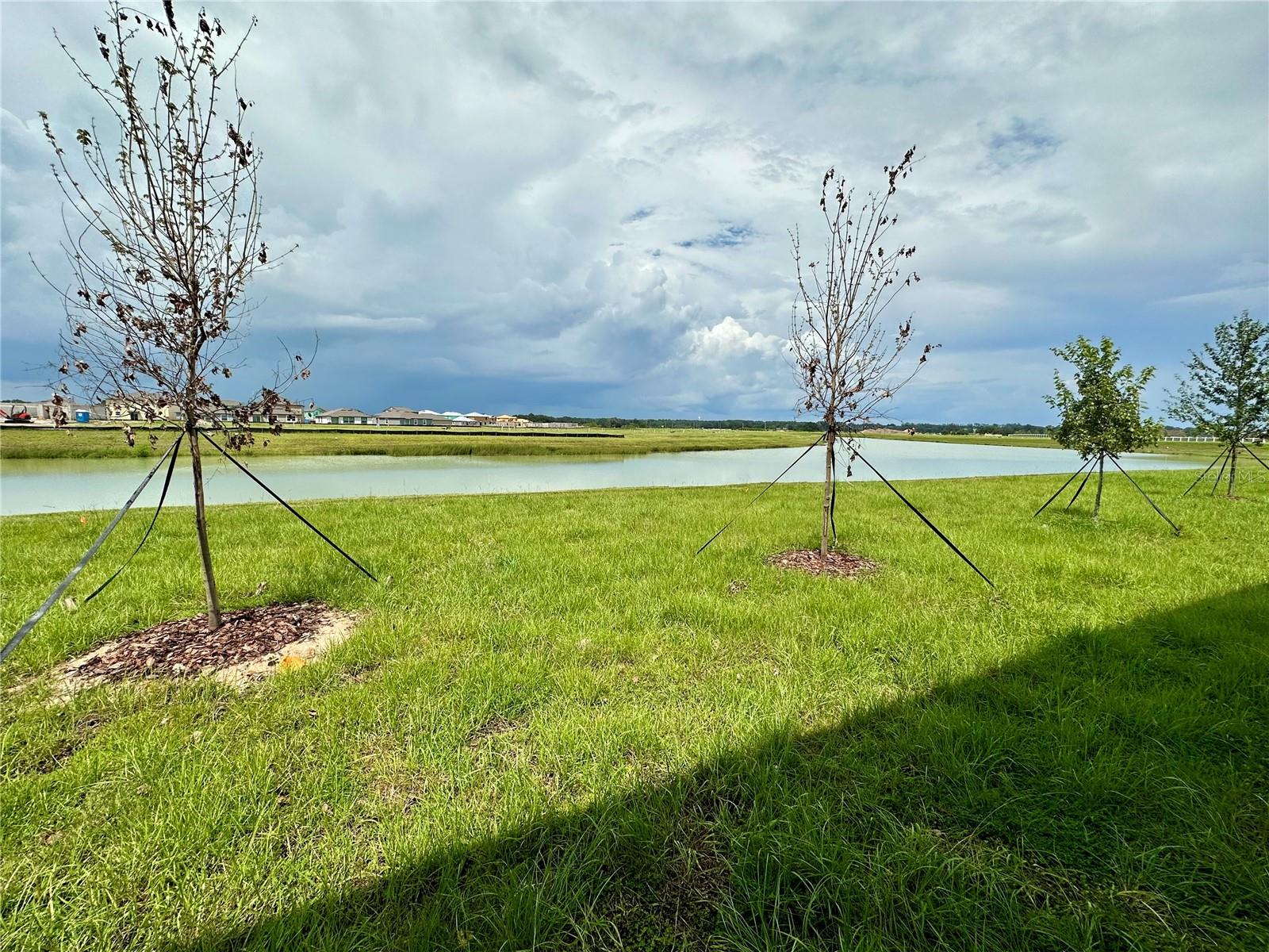 11131 Radiant Shore Loop Property Photo 26