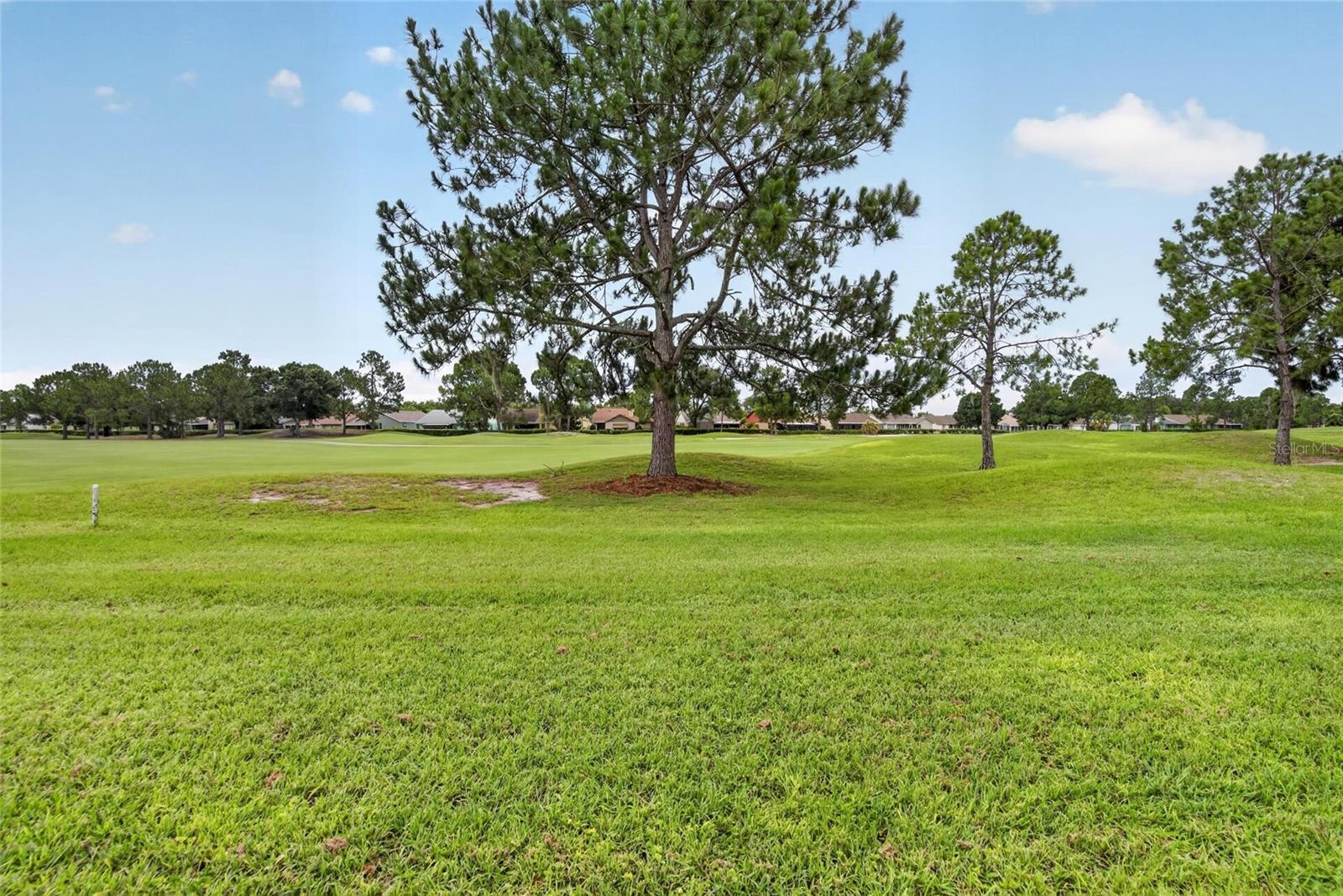 11203 Longbrooke Dr Property Photo 41